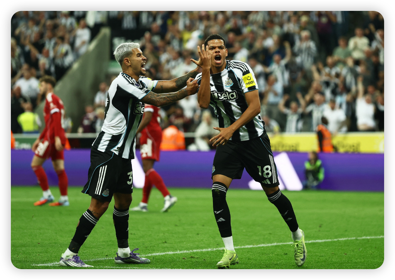 Post-Match Reactions: Elation and Despair